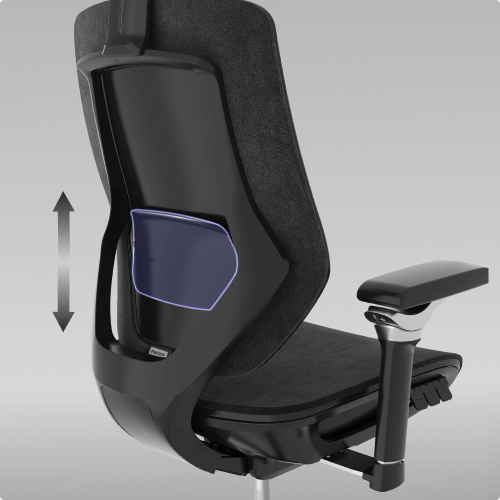 Multifunctional Fabric Ergonomic Chair (BS12 PRO)