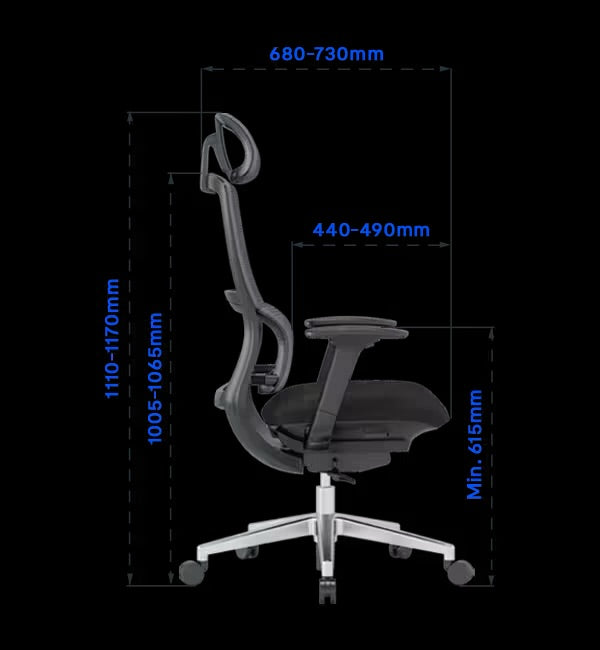 Flexispot BS2 Ergonomic Chair
