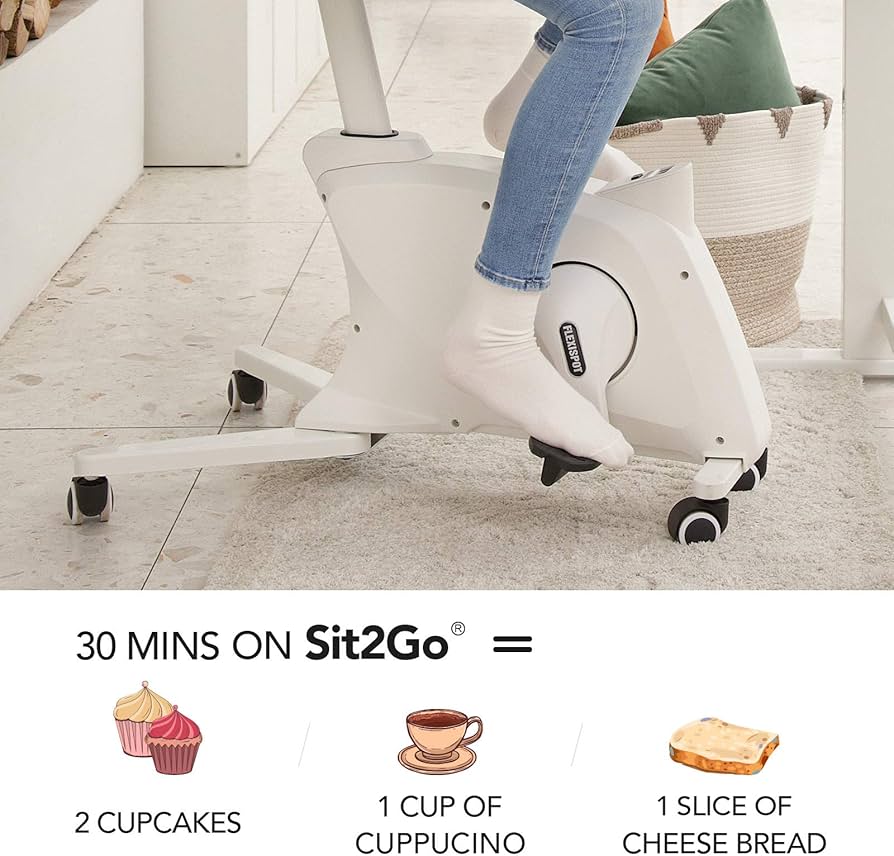 FLEXISPOT Sit2Go Desk Bike Chair Fitness Chair Desk Cycle Bike for Home and Office