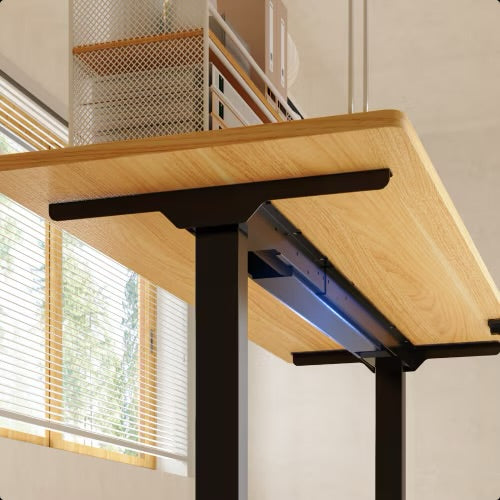 Flexispot E1-Pro series