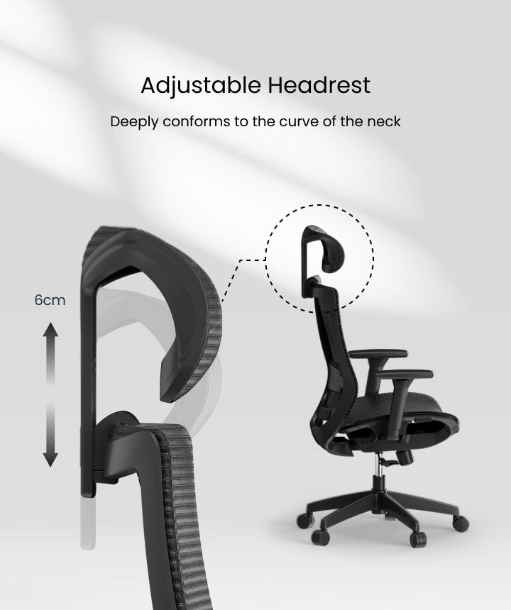 Flexispot BS4 Ergonomic Chair