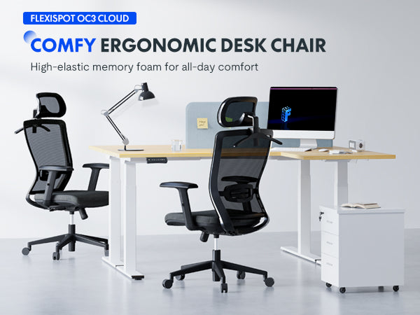 Flexispot OC3 Ergonomic Chair