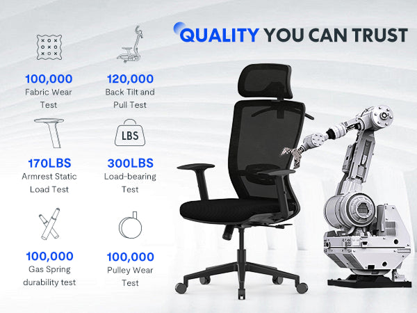 Flexispot OC3 Ergonomic Chair