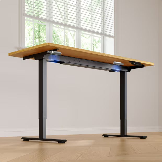 Flexispot E1-Pro series