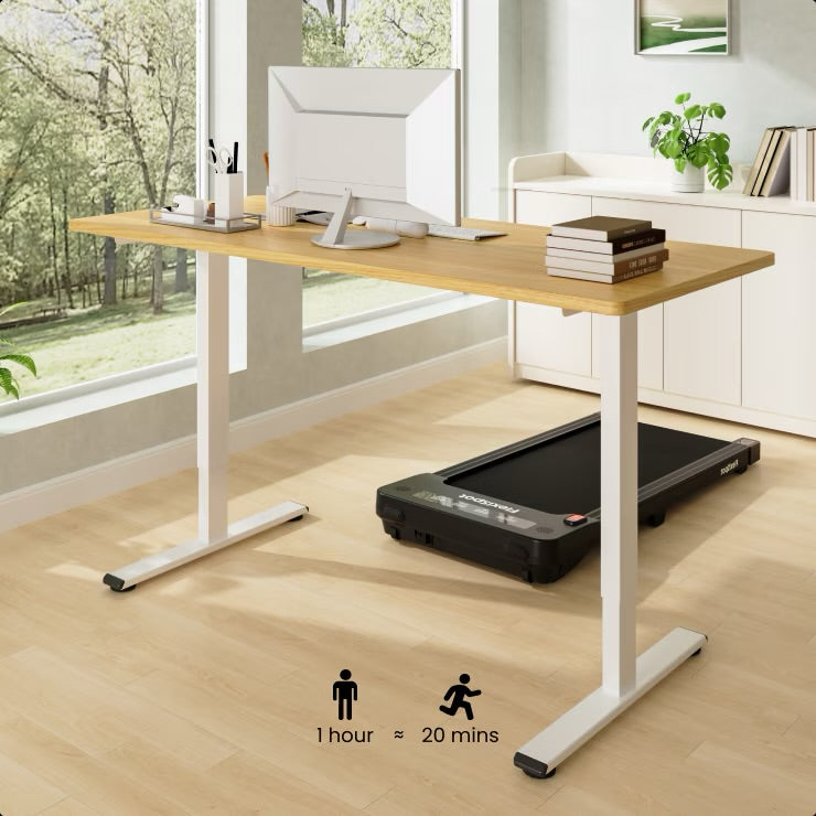 Flexispot E1-Pro series