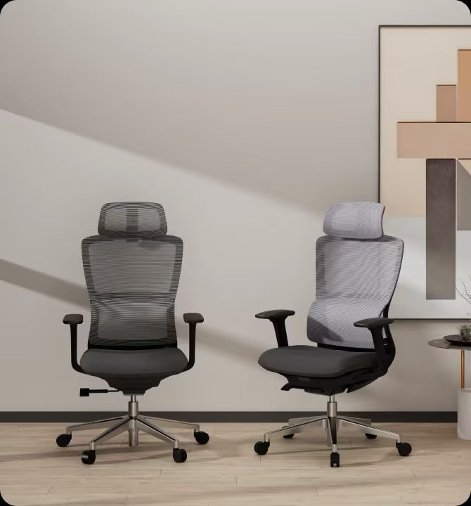 Flexispot BS2 Ergonomic Chair