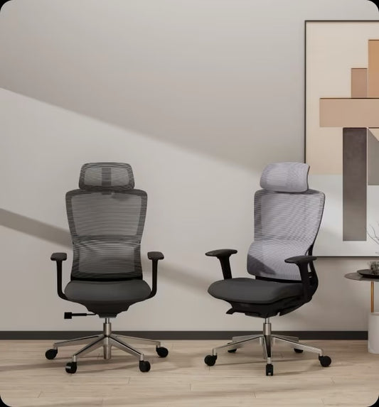 Flexispot BS2 Ergonomic Chair