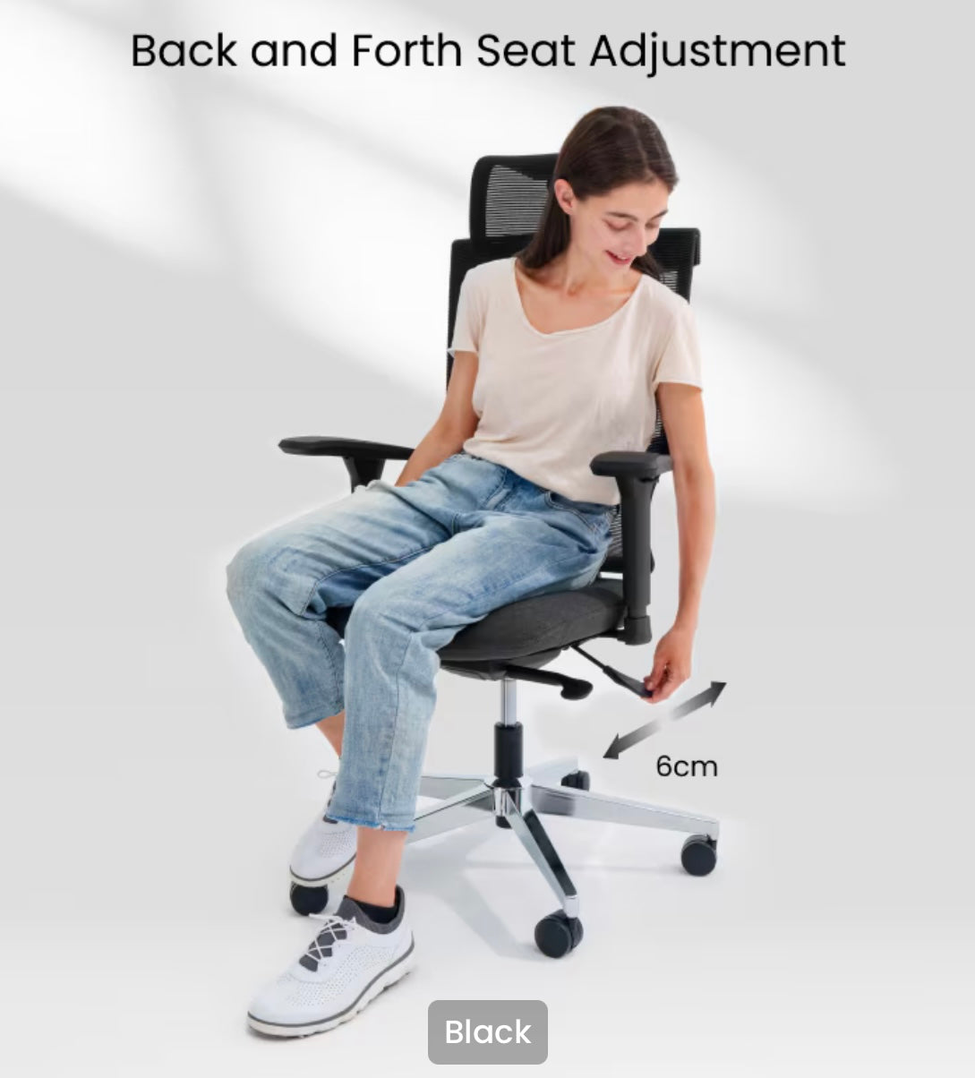 Flexispot BS6 Ergonomic Chair