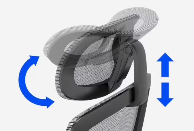 Flexispot BS2 Ergonomic Chair