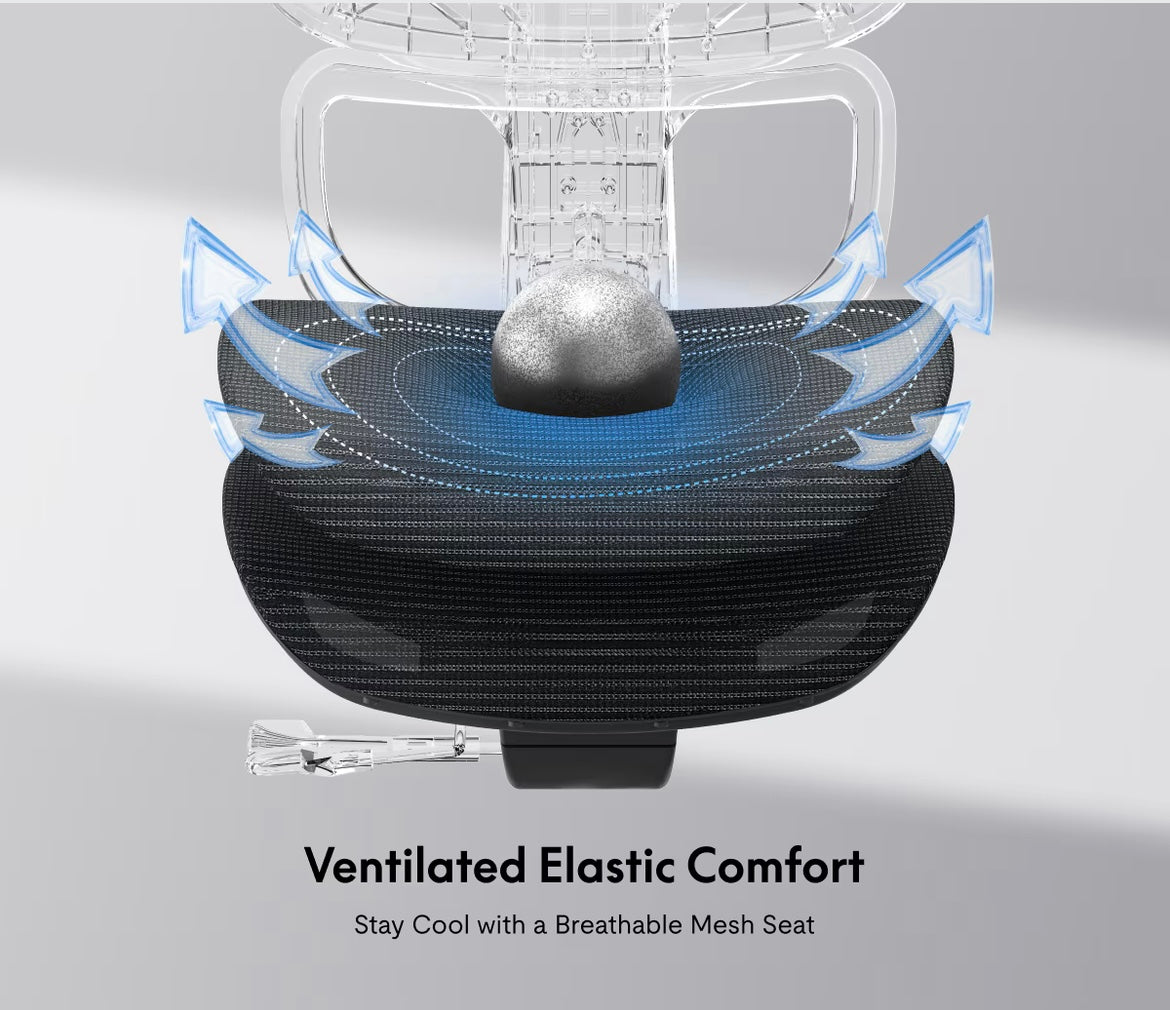 Flexispot C7 Air Pro