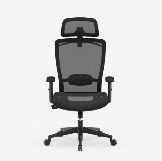 Flexispot OC3 Ergonomic Chair