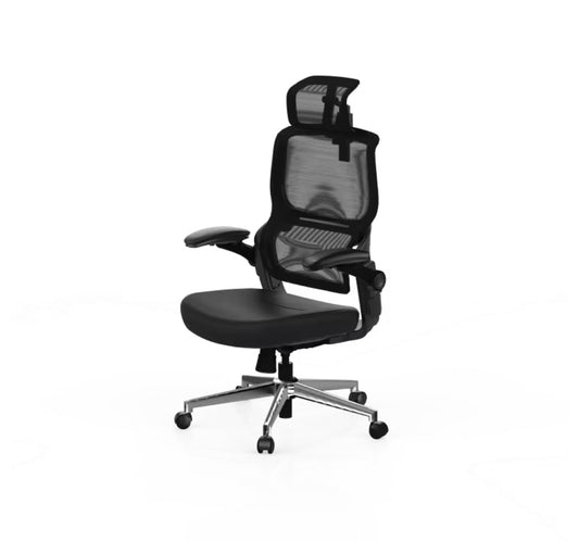 Flexispot BS1 Ergonomic Chair