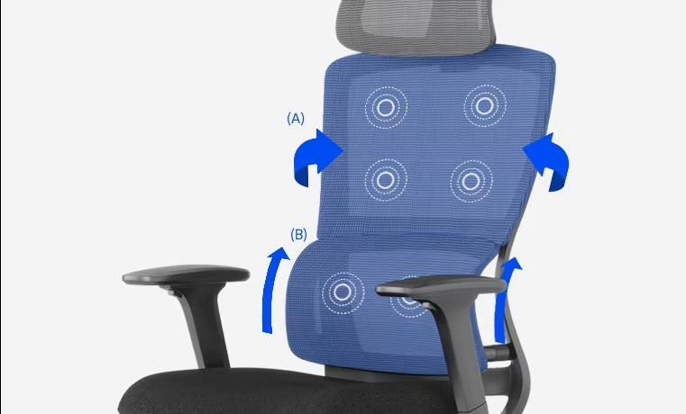 Flexispot BS2 Ergonomic Chair