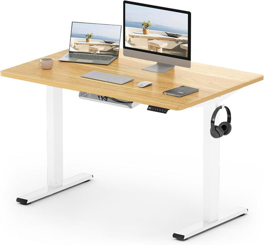 Flexispot E1 (Single Motor)