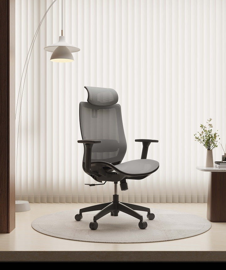 Flexispot BS4 Ergonomic Chair