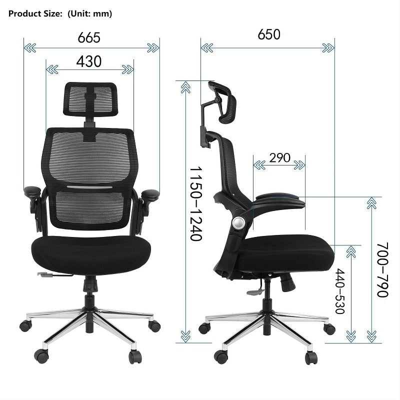 Flexispot BS1B