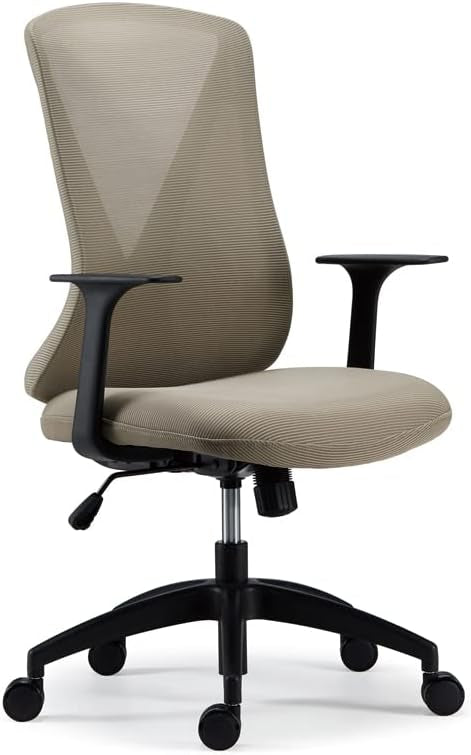 Flexispot BS9 Ergonomic Chair