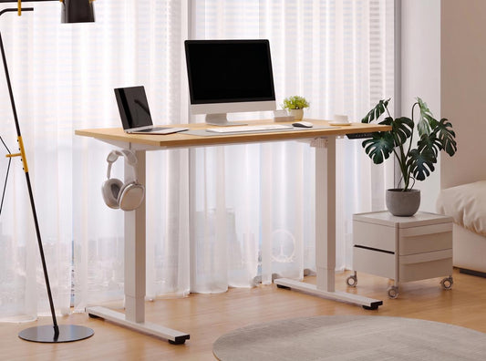 Flexispot EN1 Electrical Desk