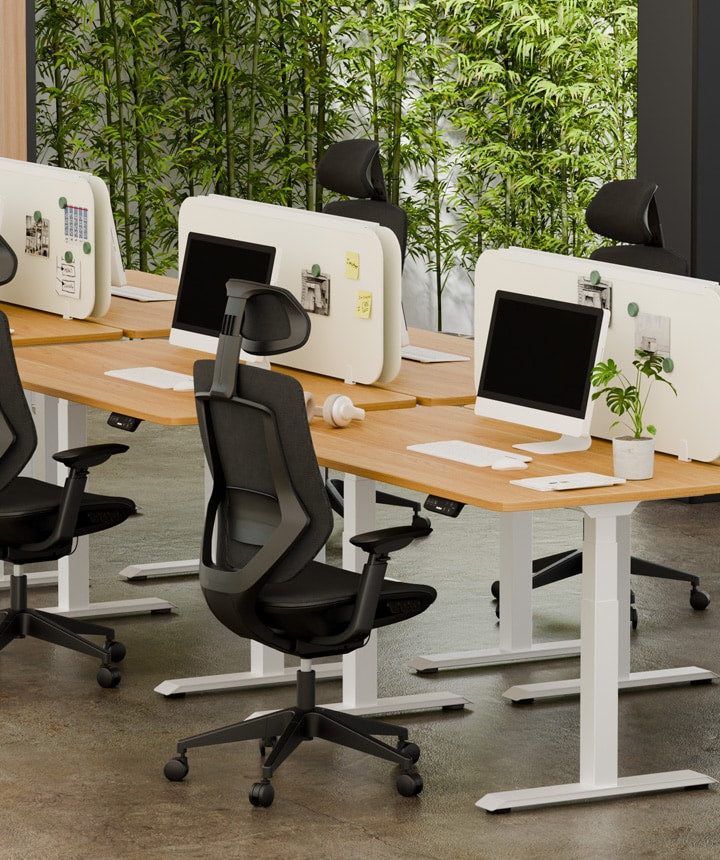Multifunctional Fabric Ergonomic Chair (BS12 PRO)