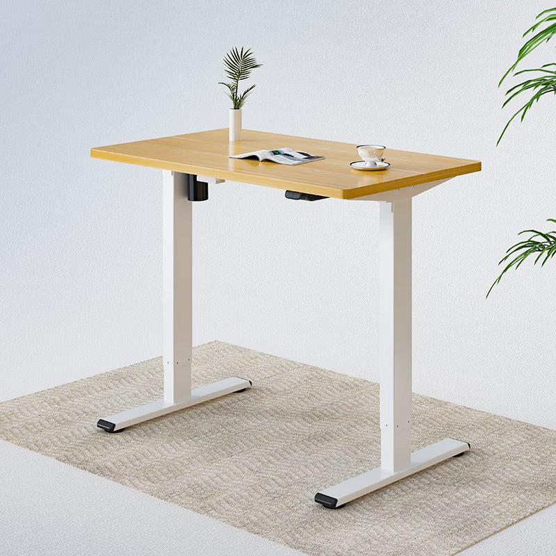 Flexispot EG1 Electrical Desk