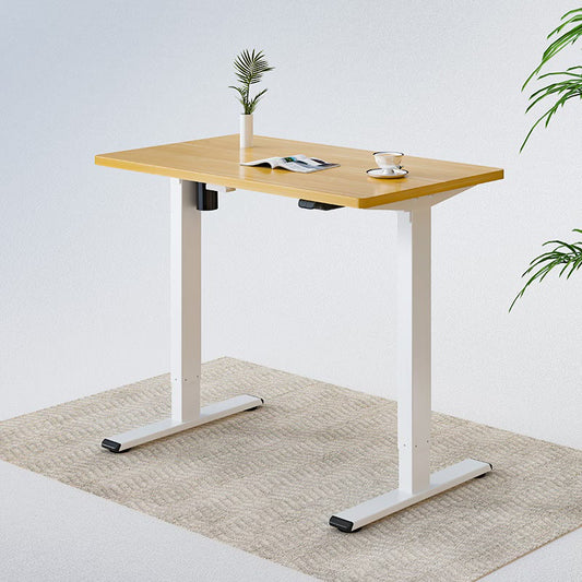 Flexispot EG1 Electrical Desk