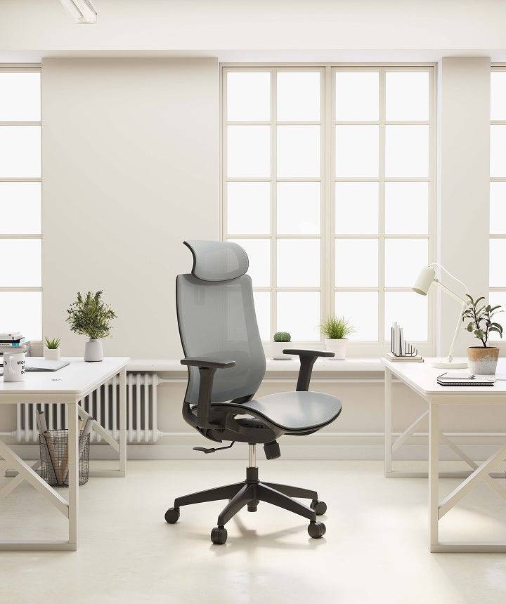 Flexispot BS4 Ergonomic Chair