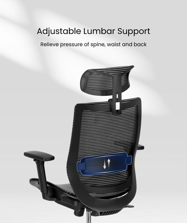 Flexispot BS4 Ergonomic Chair