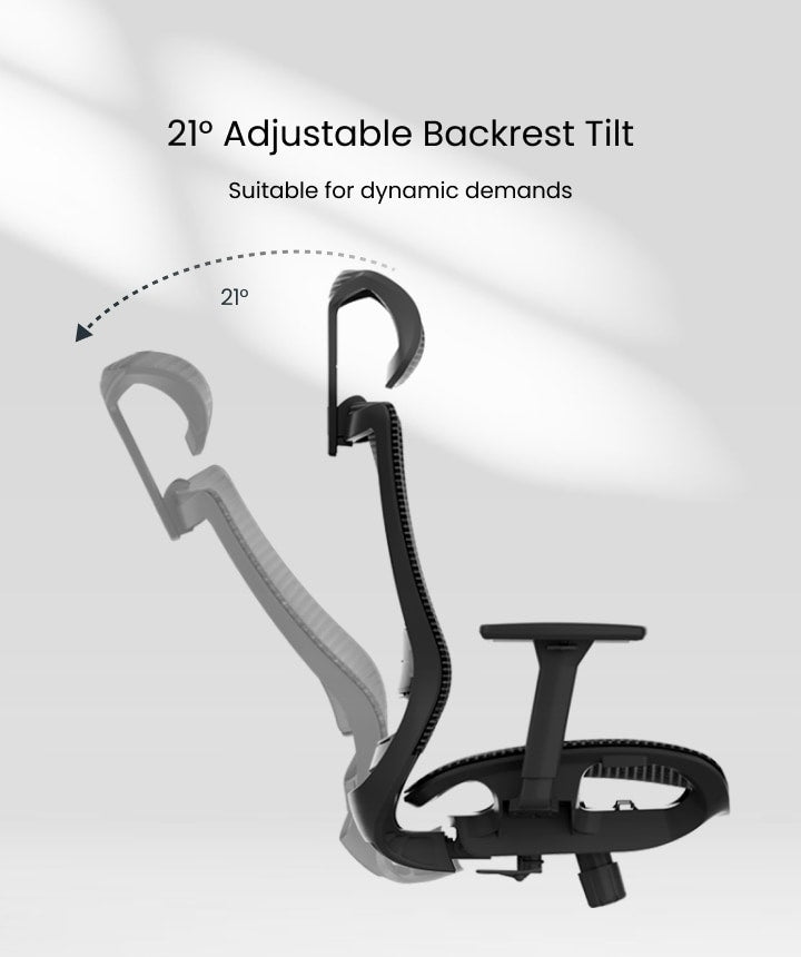 Flexispot BS4 Ergonomic Chair