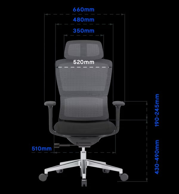 Flexispot BS2 Ergonomic Chair