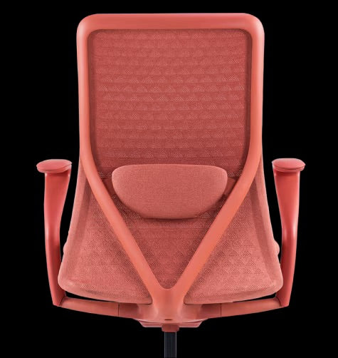 Flexispot BS13R