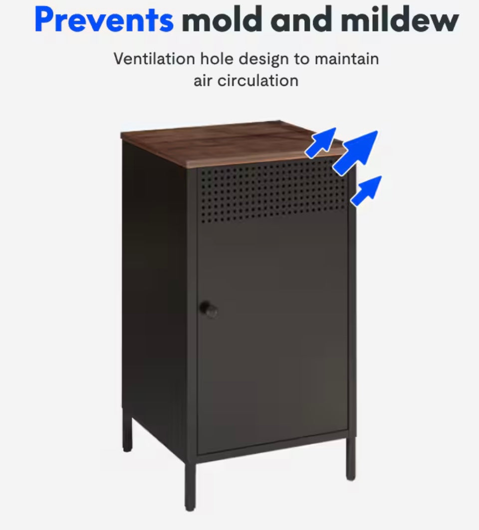 Flexispot short Metal Cabinet BK2