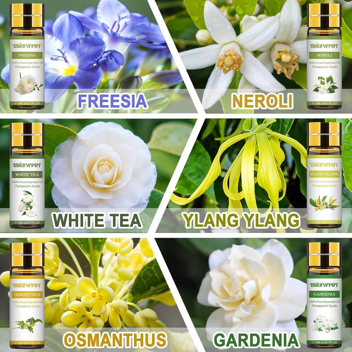 Migcaput oils