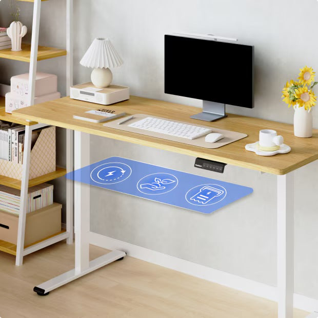 Flexispot E1-Pro series