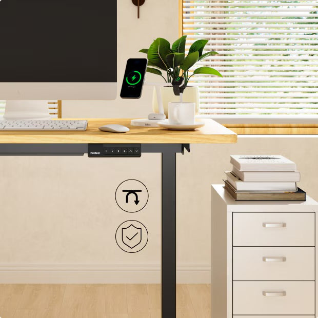 Flexispot E1-Pro series