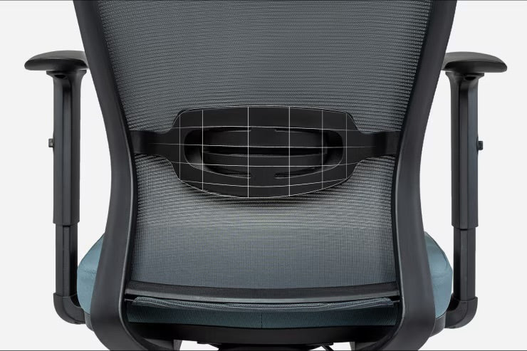 Flexispot BS3 Ergonomic Chair