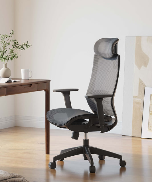 Flexispot BS4 Ergonomic Chair