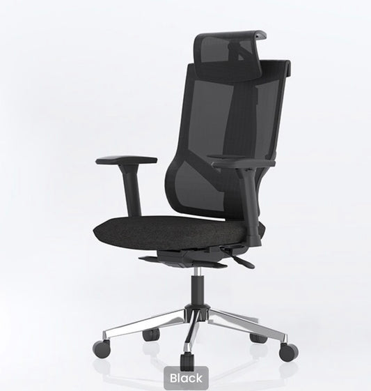 Flexispot BS6 Ergonomic Chair