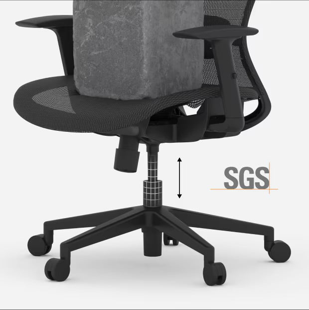 Flexispot BS3 Ergonomic Chair