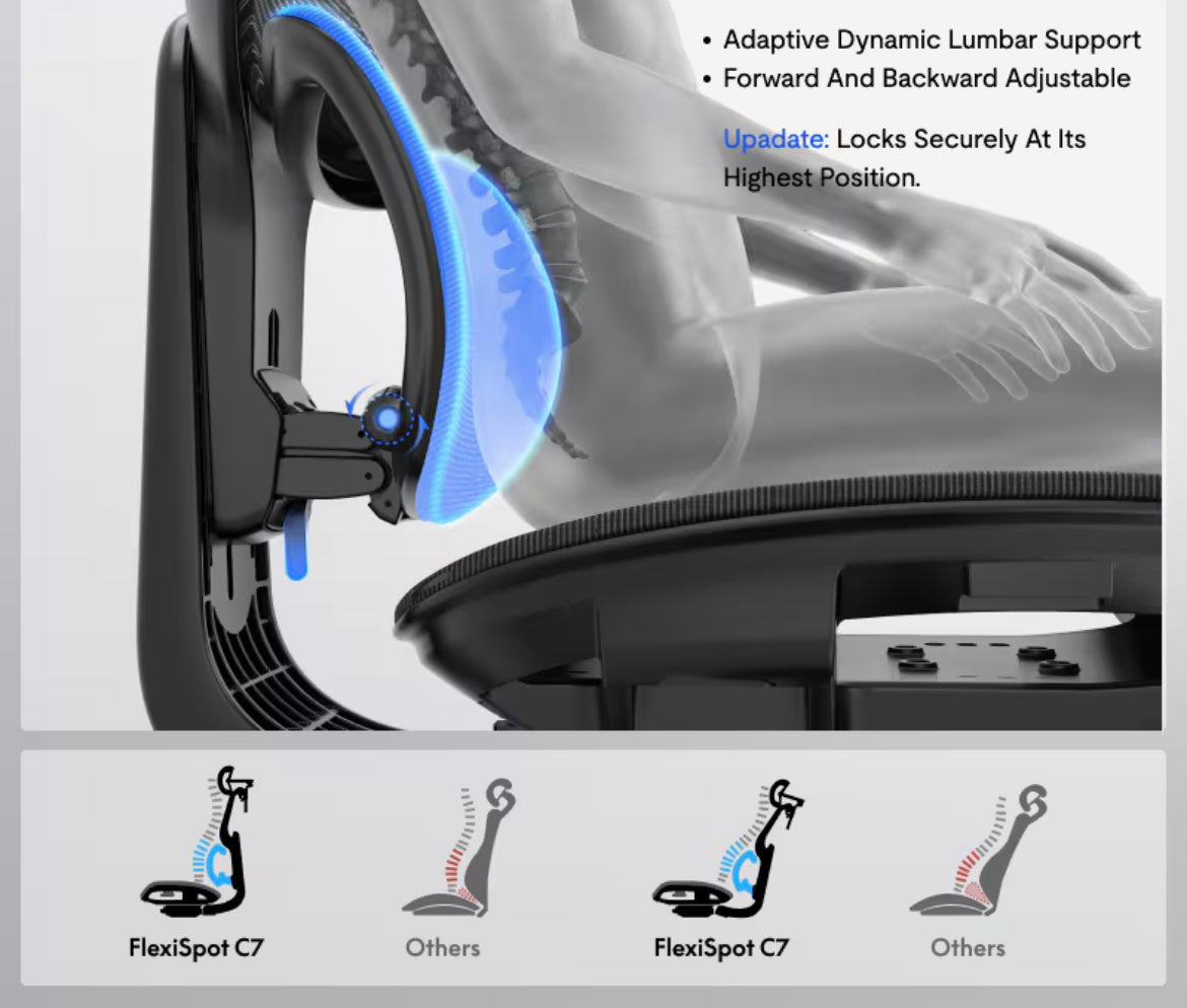 Flexispot C7 Air Pro