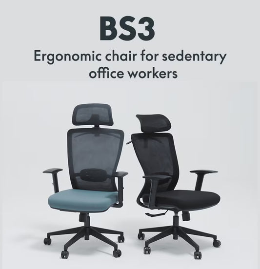 Flexispot BS3 Ergonomic Chair