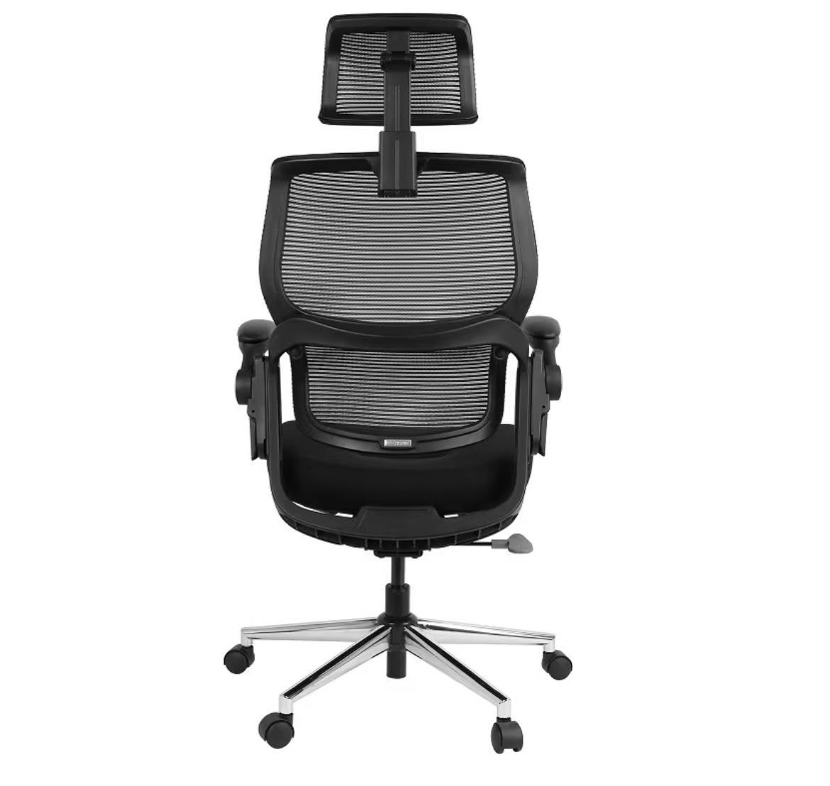 Flexispot BS1 Ergonomic Chair