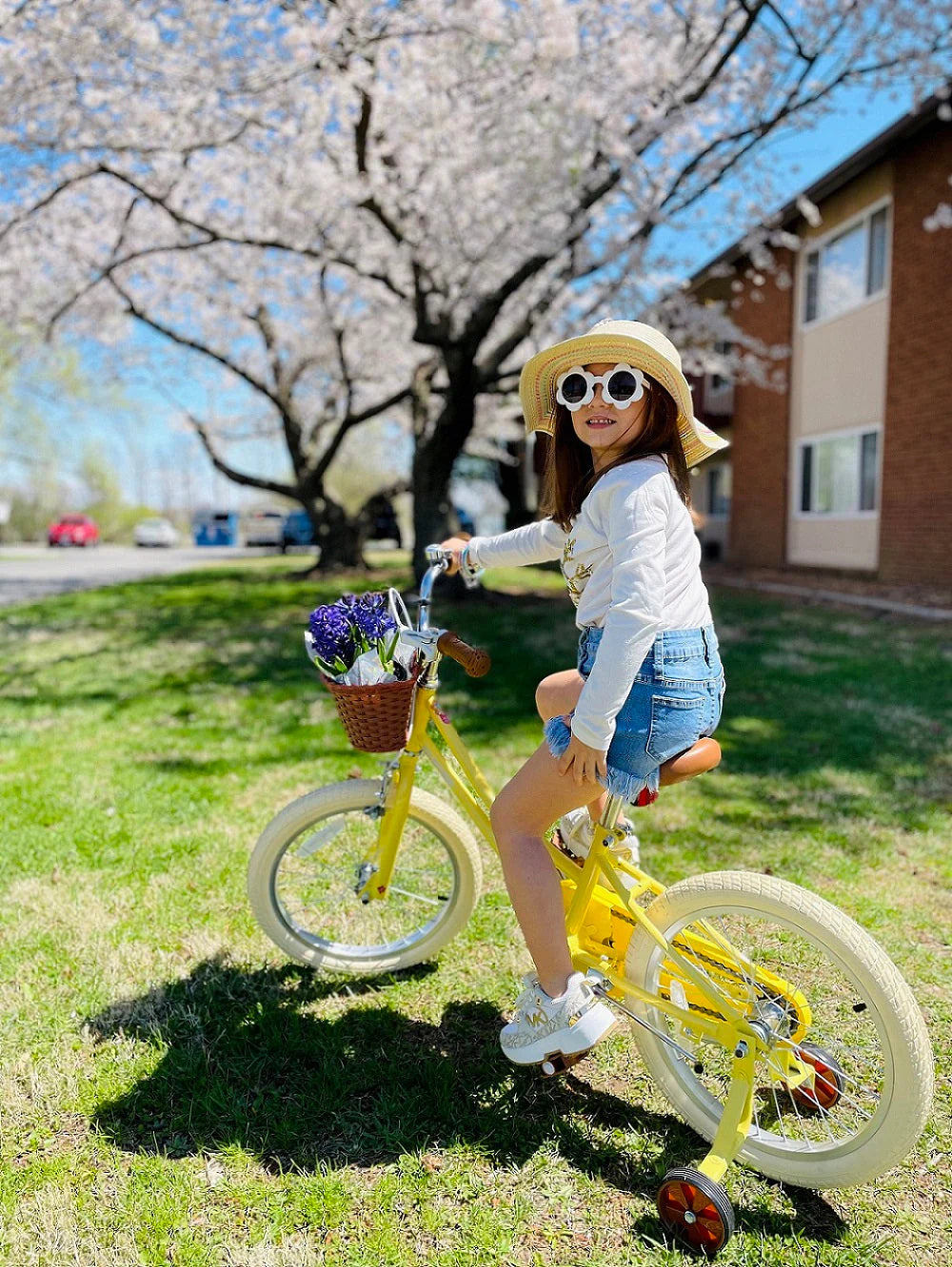 JoyStar Bike 14 inch